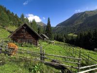 Rößler Alm gegen Sölkpaß